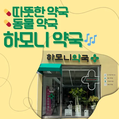 하모니약국 대표 이미지