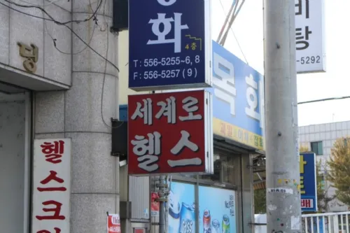 세계로헬스 대표 이미지