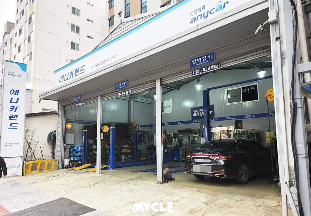 애니카랜드 대표 이미지
