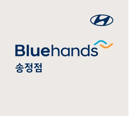 블루핸즈 송정점 대표 이미지