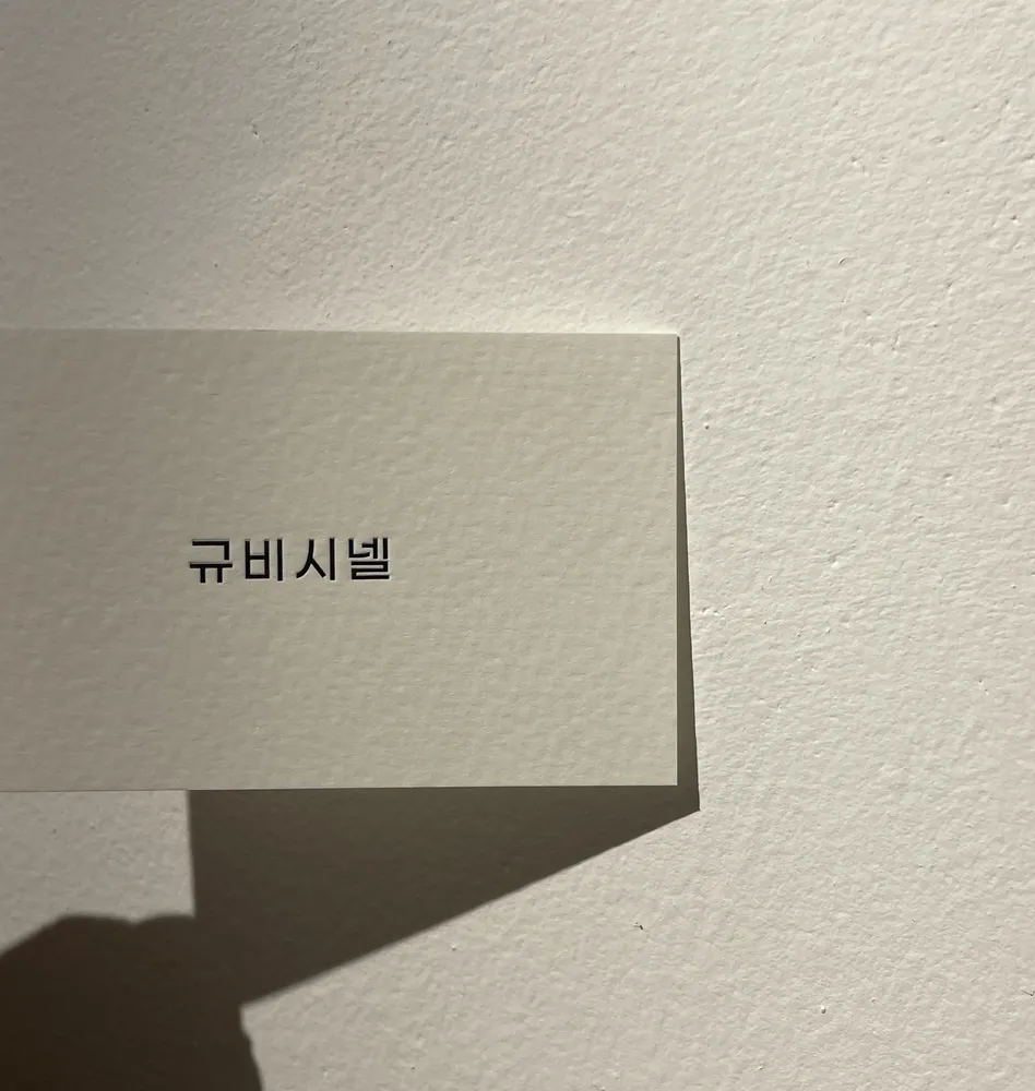 규비시넬 대표 이미지