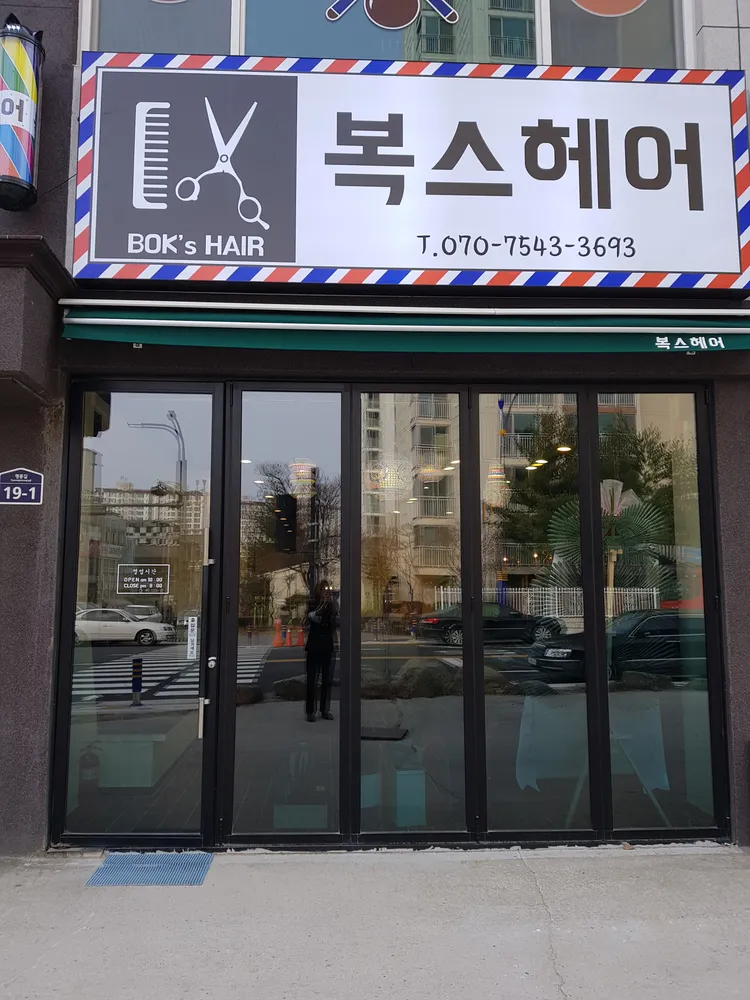 복스헤어 대표 이미지