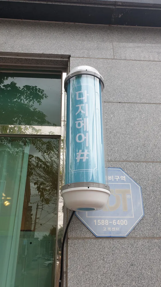 다지헤어 대표 이미지
