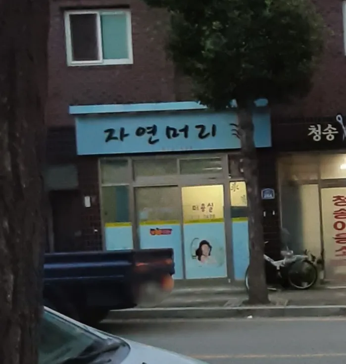 자연머리 대표 이미지