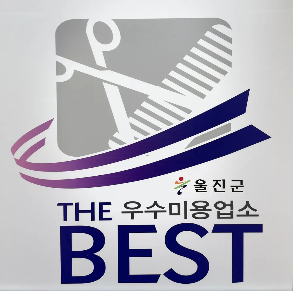 메이에르 대표 이미지
