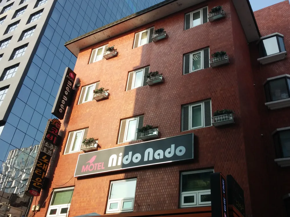 니도나도 대표 이미지