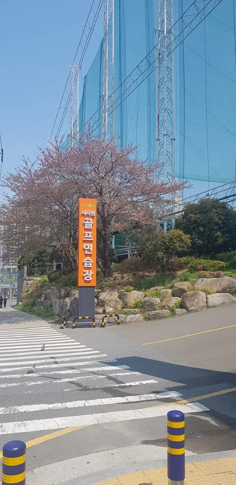 시티원골프연습장 대표 이미지