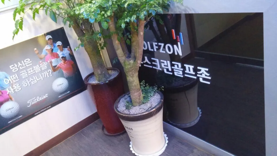 서부골프 대표 이미지