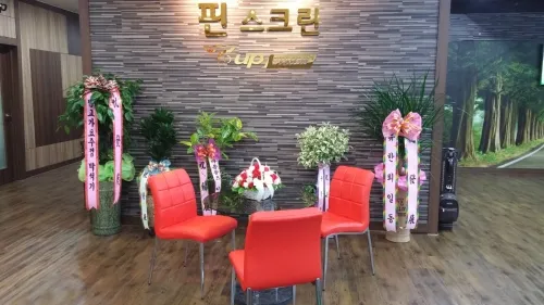 핀스크린골프 대표 이미지