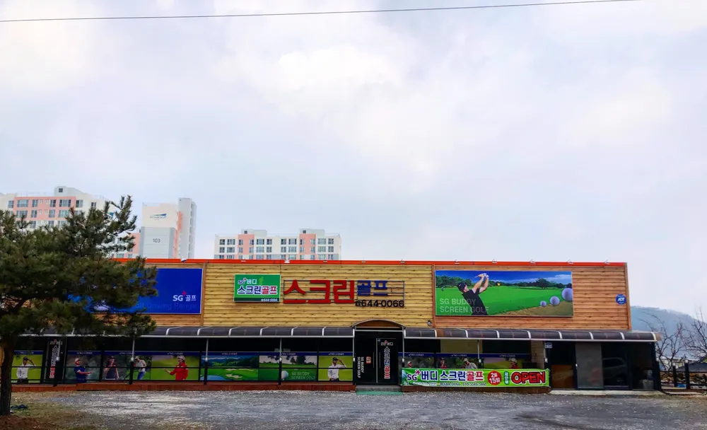 버디스크린골프 대표 이미지
