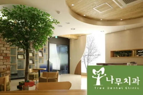나무치과의원 대표 이미지