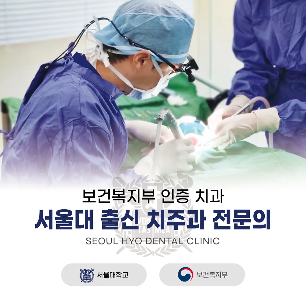 서울효치과의원 대표 이미지