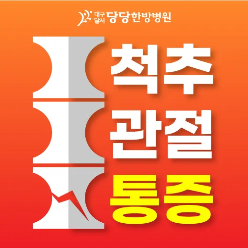 대구달서 당당한방병원 대표 이미지