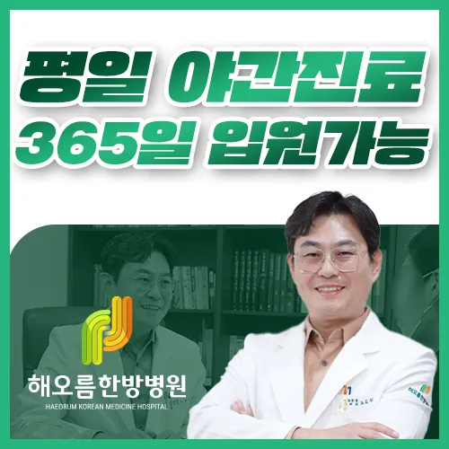 해오름 한방병원 대표 이미지