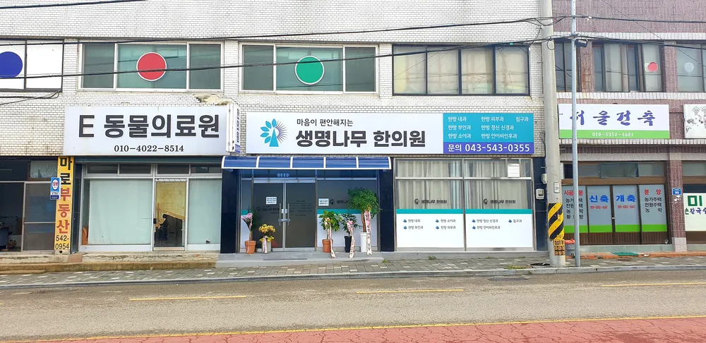 생명나무 한의원 대표 이미지