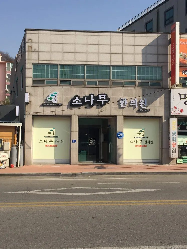 소나무한의원 대표 이미지