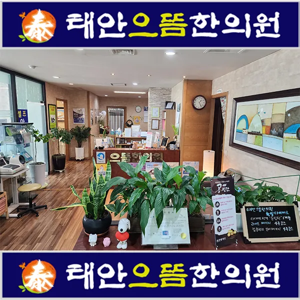 태안으뜸한의원 대표 이미지