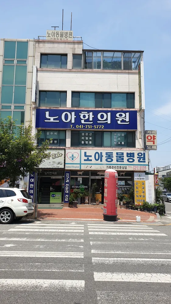 노아한의원 대표 이미지