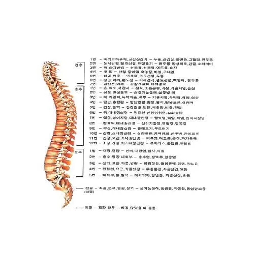 원불교역전보화당한의원 대표 이미지