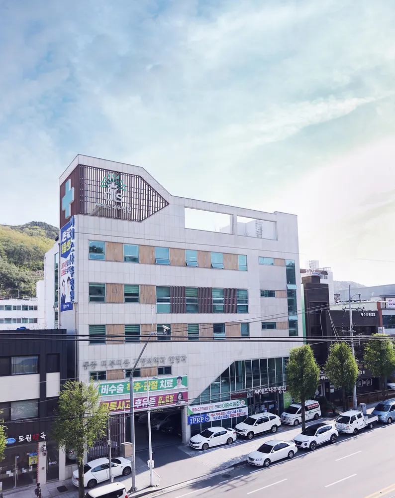 씨에스나무병원 대표 이미지