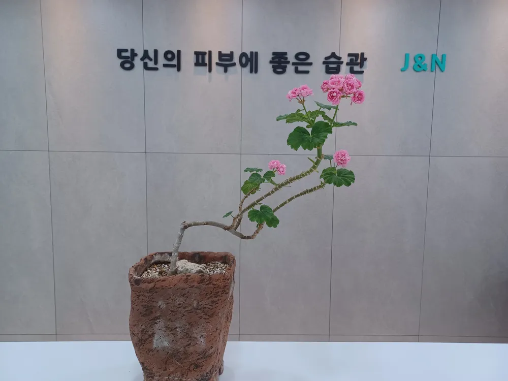 정앤남의원 대표 이미지