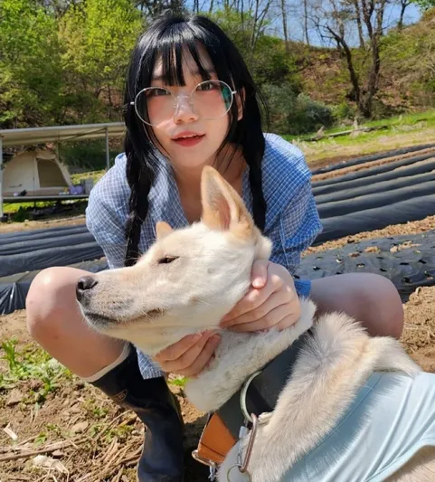 강요미