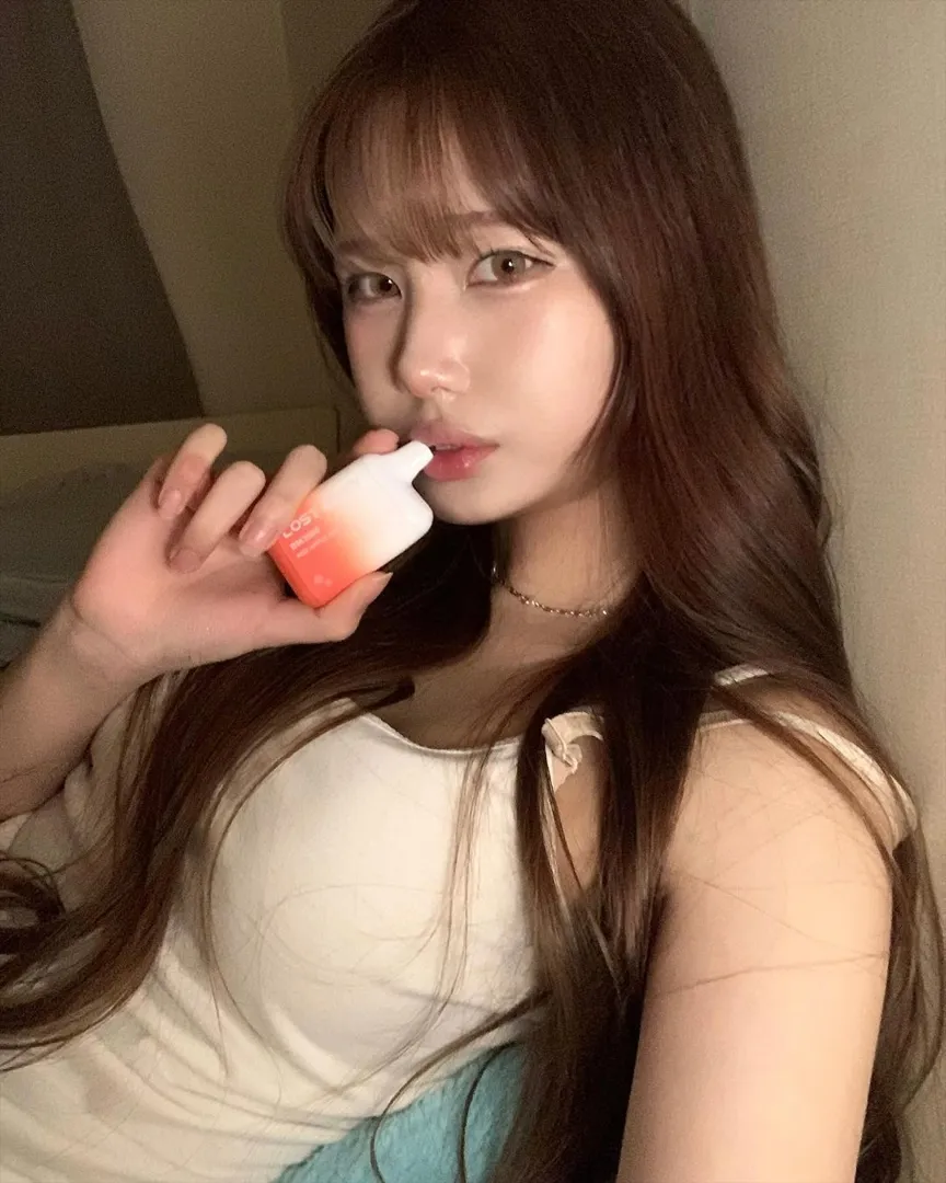 송승연