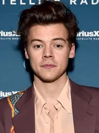 가수인 해리 스타일스의 대표 이미지