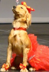 기타인 프린세스의 대표 이미지